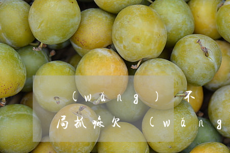 網(wǎng)貸不還會(huì)被公安局抓嘛(欠網(wǎng)貸公安會(huì)不會(huì)抓人)