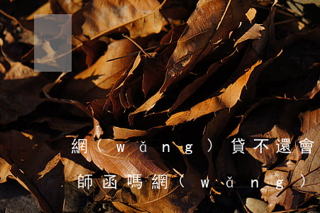 網(wǎng)貸不還會(huì)被寄律師函嗎(網(wǎng)貸欠了幾千塊說寄律師函真的嗎)
