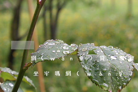 網(wǎng)貸不還會(huì)被起訴坐牢嗎(網(wǎng)貸不還會(huì)被起訴坐牢嗎)