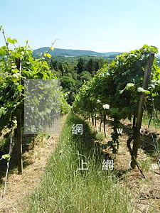 網(wǎng)貸不還會(huì)被限制上網(wǎng)嗎(網(wǎng)貸超過多少可以不用還)