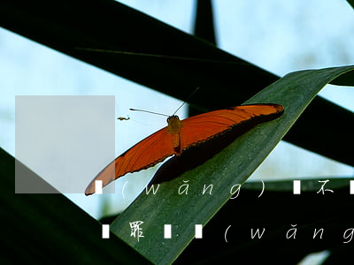 網(wǎng)貸不還會(huì)起訴詐騙罪嗎(網(wǎng)貸不還會(huì)構(gòu)成詐騙罪嗎?)