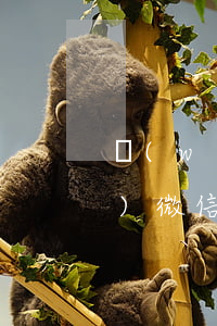 網(wǎng)貸不還會不會凍結(jié)微信(網(wǎng)貸逾期會凍結(jié)微信嗎)