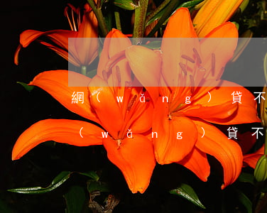 網(wǎng)貸不還會寄信去村里嗎(借網(wǎng)貸不還的村子)
