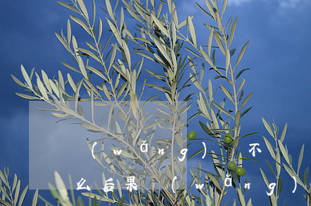 網(wǎng)貸不還會承擔(dān)什么后果(網(wǎng)貸不還會有什么后果)