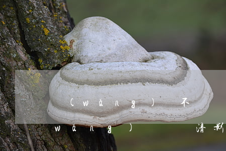 網(wǎng)貸不還會牽扯到房子嗎(網(wǎng)貸沒還清影響房貸嗎)
