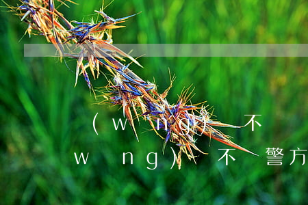 網(wǎng)貸不還會被刑警帶走嗎(網(wǎng)貸不還警方會介入嗎)