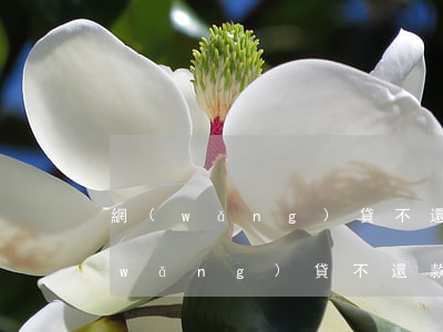網(wǎng)貸不還會被強制償還嗎(網(wǎng)貸不還款會不會坐牢)