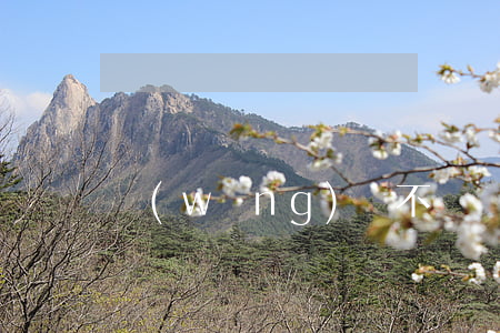 網(wǎng)貸不還會被征信拉黑嗎