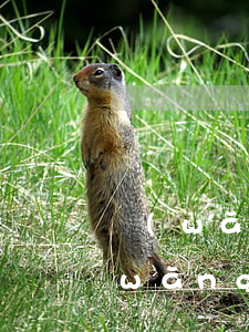 網(wǎng)貸不還會被限制出行嗎(網(wǎng)貸逾期不還名下有車)