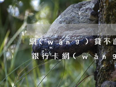 網(wǎng)貸不還申請凍結(jié)銀行卡(網(wǎng)貸還不上會被凍結(jié)銀行卡嗎)
