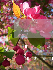 網(wǎng)貸不還當(dāng)老賴會怎么樣(網(wǎng)貸老賴對生活會有什么影響)