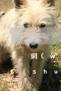 網(wǎng)貸不還發(fā)信息說(shuō)要抓人(網(wǎng)貸會(huì)報(bào)警抓貸款人么)