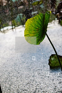 網(wǎng)貸不還的國(guó)家怎么處理(網(wǎng)貸不還的國(guó)家怎么處理)