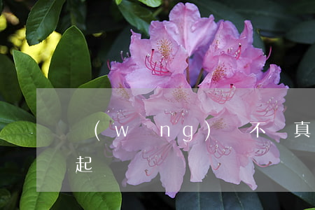 網(wǎng)貸不還真的會(huì)被起訴嗎