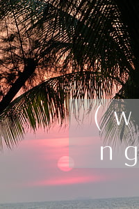 網(wǎng)貸不還真的會被告嗎（網(wǎng)貸不關(guān)會被起訴嗎）