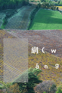 網(wǎng)貸不還等起訴可以嗎(網(wǎng)貸不還起訴會坐牢嗎)