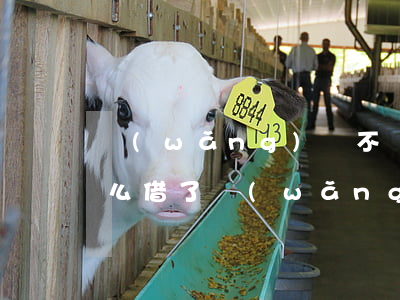 網(wǎng)貸不還能在銀行貸款嗎(為什么借了網(wǎng)貸就不能辦銀行貸款了)