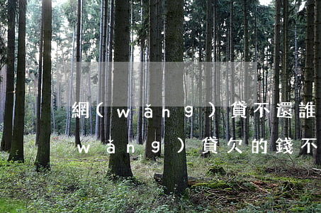 網(wǎng)貸不還誰賠的是誰的錢(網(wǎng)貸欠的錢不還會(huì)怎么樣)