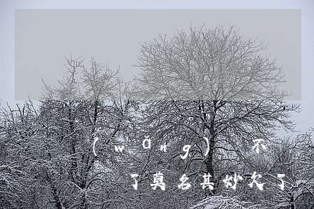 網(wǎng)貸不還謊報身份證丟失(身份證丟了莫名其妙欠了網(wǎng)貸)
