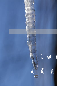 網(wǎng)貸不還變成老賴怎么辦(當(dāng)網(wǎng)貸還不起怎么辦)