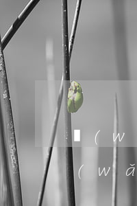 網(wǎng)貸不還起訴短信是真的嗎(網(wǎng)貸逾期發(fā)信息起訴)