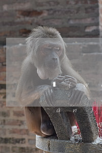 網(wǎng)貸不還跟信用卡有關(guān)聯(lián)嗎(網(wǎng)貸與信用卡有關(guān)聯(lián)嗎)
