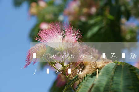 網(wǎng)貸不還路，走上網(wǎng)貸不歸路