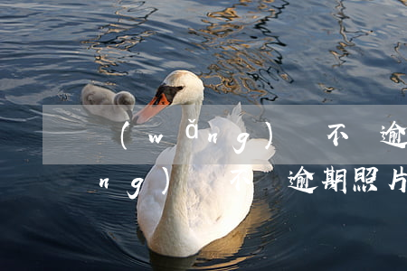 網(wǎng)貸不還逾期照片-網(wǎng)貸不還逾期照片怎么拍