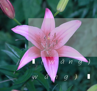 網(wǎng)貸不還銀行卡自動扣款(網(wǎng)貸自動從銀行卡扣款怎么辦)