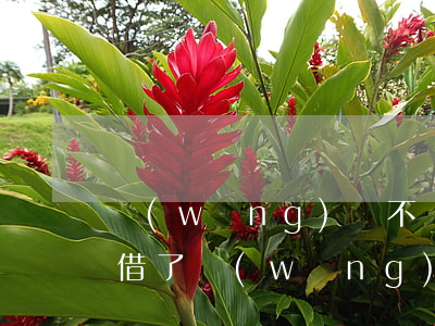 網(wǎng)貸不還錢最后會怎么處理-借了網(wǎng)貸無力償還怎么辦