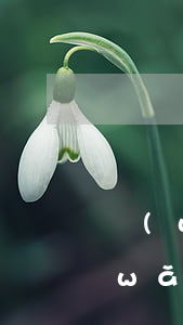 網(wǎng)貸不還騷擾家人犯法嗎(網(wǎng)貸不還騷擾家人犯法嗎)