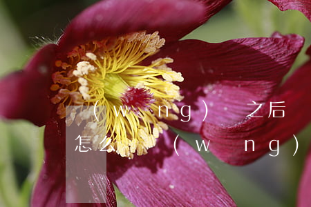網(wǎng)貸之后還不起會(huì)怎么樣（網(wǎng)貸后還不起錢(qián)）