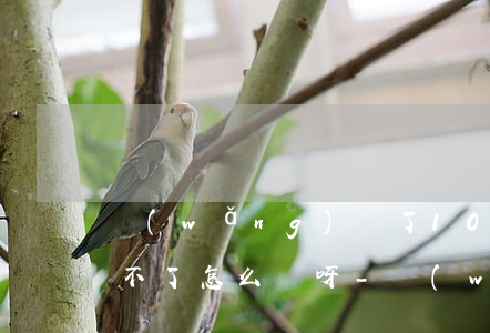 網(wǎng)貸了10多萬(wàn)還不了怎么辦呀-網(wǎng)貸了10多萬(wàn)還不了怎么辦呀怎么解決