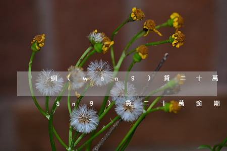 網(wǎng)貸二十萬逾期還不上(網(wǎng)貸二十萬逾期還不上怎么辦)