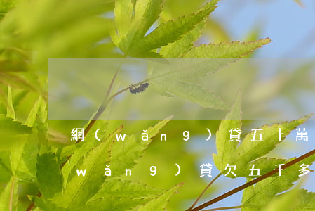 網(wǎng)貸五十萬不還會判多久(網(wǎng)貸欠五千多會被起訴嗎)