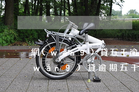 網(wǎng)貸五千逾期一共還多少(網(wǎng)貸逾期五千元會(huì)被起訴嗎)