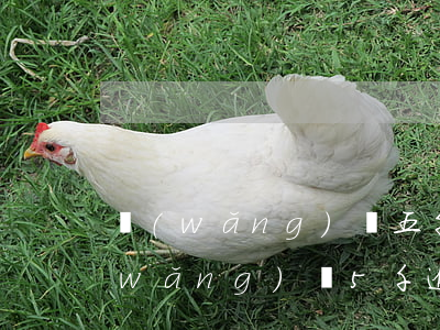 網(wǎng)貸五千逾期三年一萬多(網(wǎng)貸5千逾期三年)