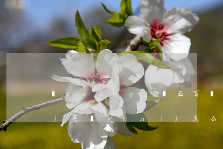 網(wǎng)貸五百塊錢逾期一個(gè)月會(huì)怎么樣-網(wǎng)貸五百塊錢逾期一個(gè)月會(huì)怎么樣嗎