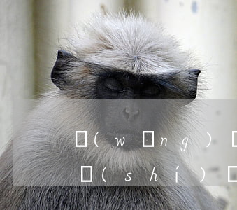 網(wǎng)貸五萬(wàn)逾期了暫時(shí)還不上怎么辦-網(wǎng)貸五萬(wàn)逾期了暫時(shí)還不上怎么辦呢