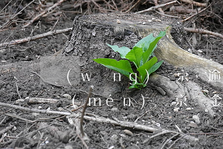 網(wǎng)貸京東逾期會(huì)上門(mén)嗎(京東金融逾期發(fā)信息說(shuō)上門(mén)真的會(huì)來(lái)嗎)