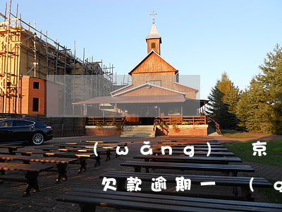 網(wǎng)貸京東金條逾期上門(京東金條欠款逾期一個(gè)月會(huì)上門拜訪嗎)
