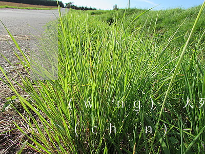 網(wǎng)貸人死了沒有財(cái)產(chǎn)-網(wǎng)貸人死了沒有財(cái)產(chǎn)會(huì)坐牢嗎