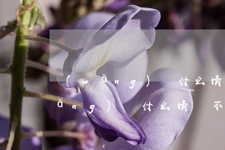 網(wǎng)貸什么情況不用還-網(wǎng)貸什么情況不用還了