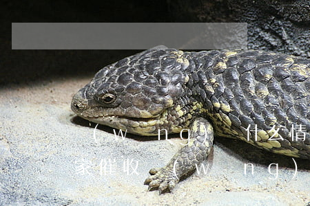 網(wǎng)貸什么情況會(huì)到家催收(網(wǎng)貸都是怎么催收的)
