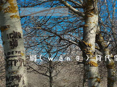 網(wǎng)貸代償了會起訴我嗎