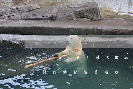 網(wǎng)貸代償后起訴(網(wǎng)貸代償起訴答辯狀)