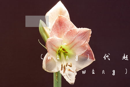 網(wǎng)貸代償超過三年后還會被起訴嗎-網(wǎng)貸代償超過三年后還會被起訴嗎知乎