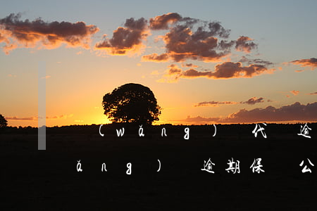 網(wǎng)貸代償逾期會怎么樣(網(wǎng)貸逾期保險公司代償)