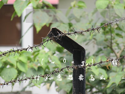 網(wǎng)貸代轉(zhuǎn)還款什么意思要怎么還-網(wǎng)貸代轉(zhuǎn)還款什么意思要怎么還呢