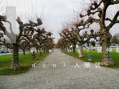 網(wǎng)貸仲裁還款多久返債權(quán)人賬號-